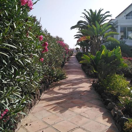 Apartamento La Palmera Amarilla Golf 산미겔데아보나 외부 사진